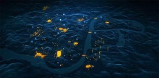 Black Ops 4 Battle Royale apoyará a 60 jugadores