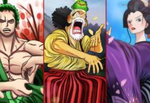 One Piece 913 – Están Luffy y Zoro en problemas?