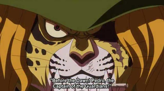One Piece Episodio 849 - El último sacrificio de Pedro