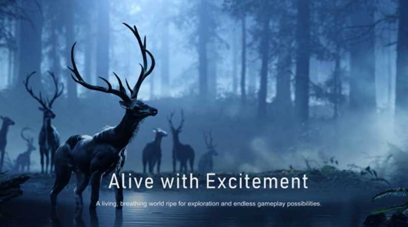 Sistemas de Rol Halo Infinite