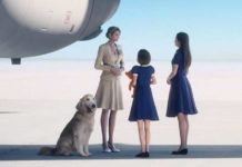 Ace Combat 7: La triste historia detrás de 'JPEG Dog'