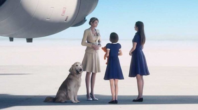 Ace Combat 7: La triste historia detrás de 'JPEG Dog'