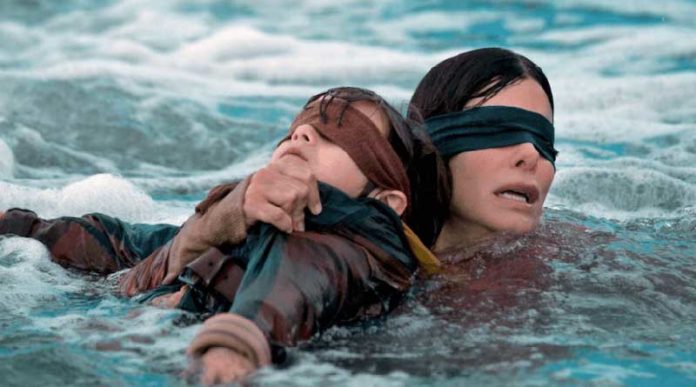 Explicación del final de Bird Box