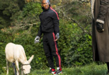 Doom Patrol Episodio 2 Revisión: Donkey Patrol