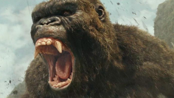 Kong finalmente tiene su propio compañero en el MonsterVerse